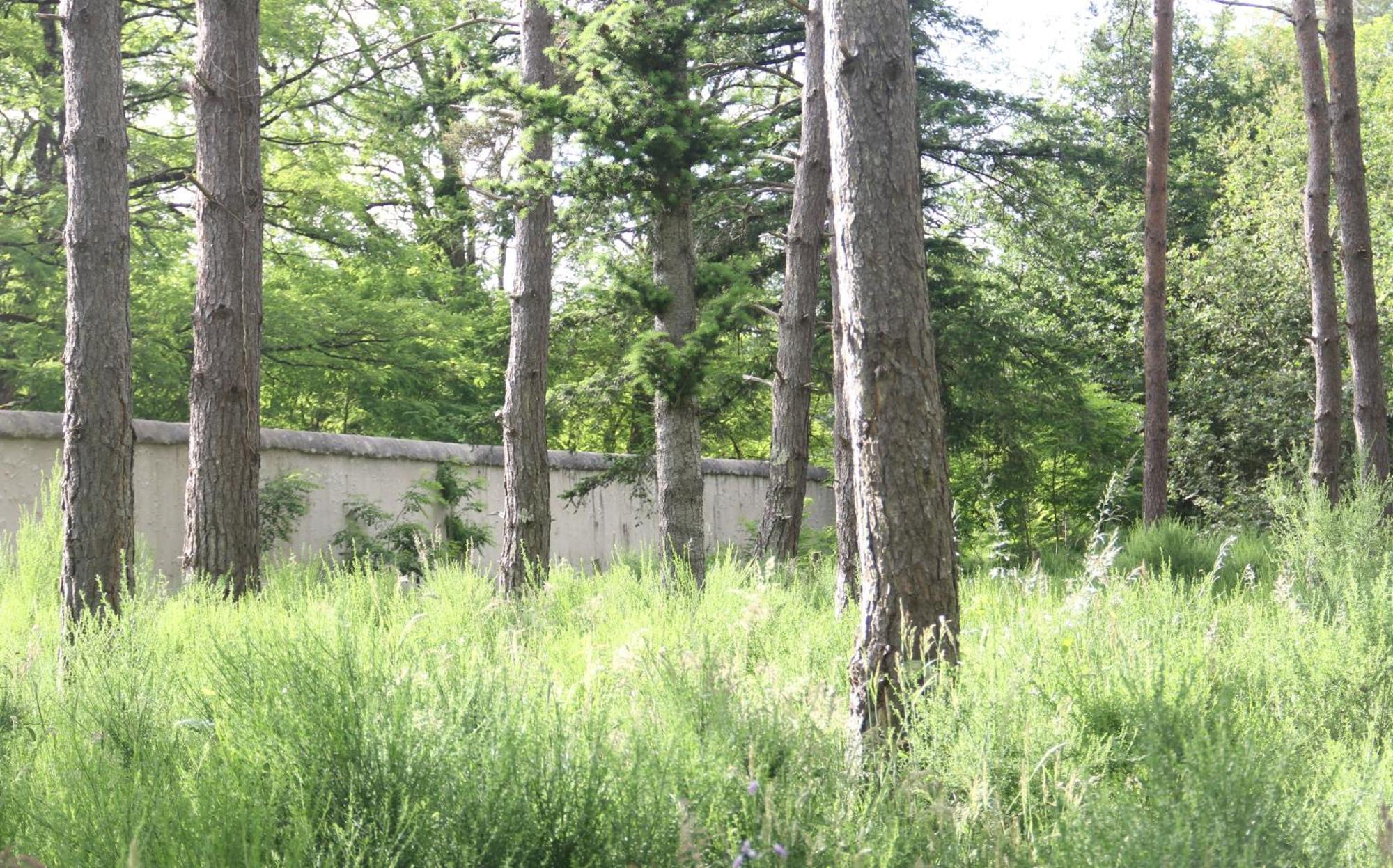 Le Refuge De Chambord Villa Thoury Екстериор снимка